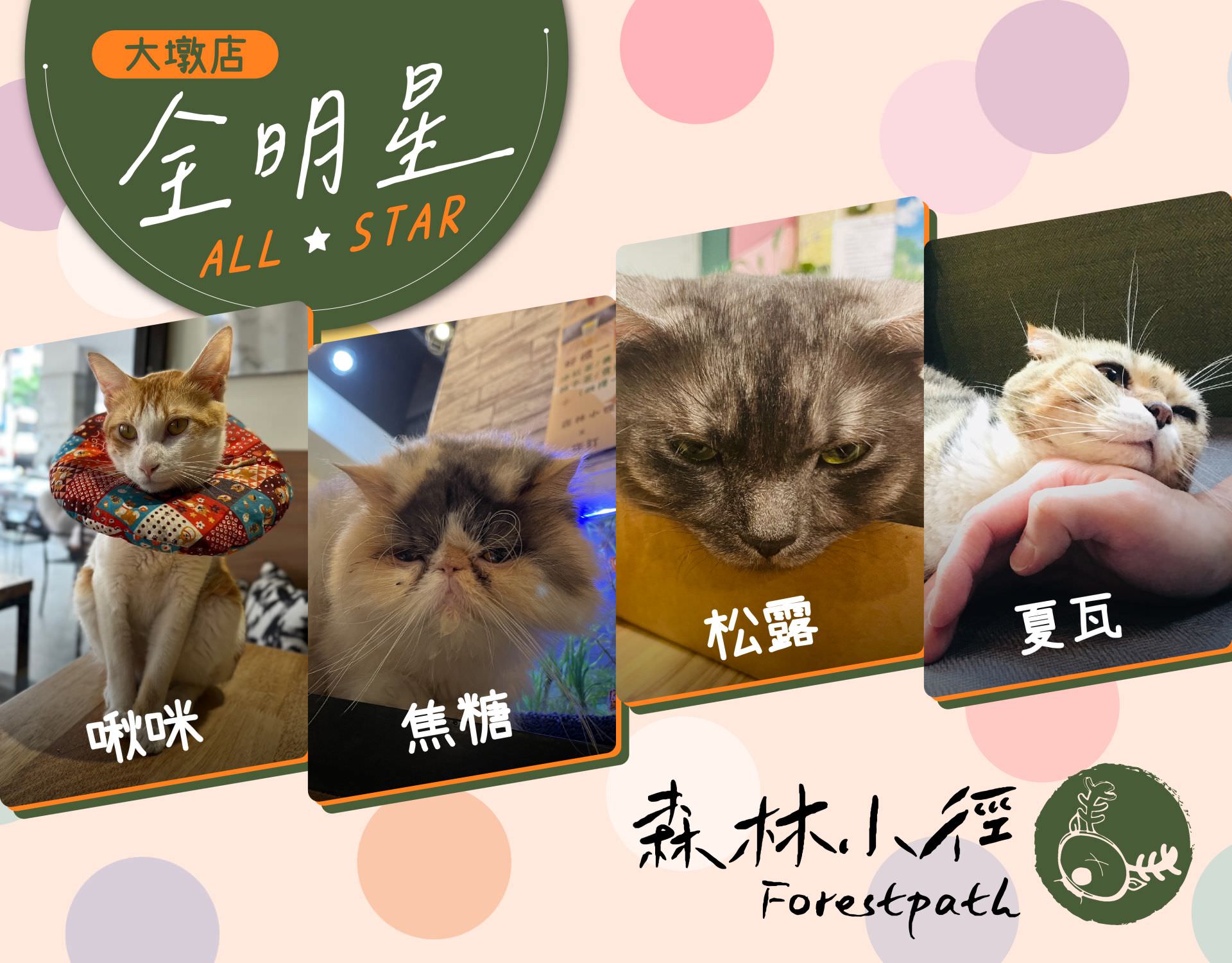 森林小徑大墩店餐廳大墩店明星