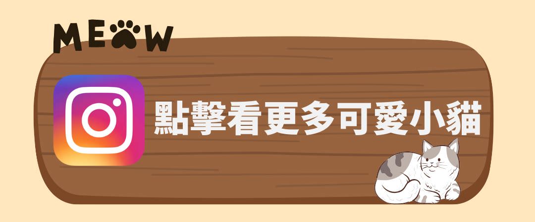 台北貓舍
